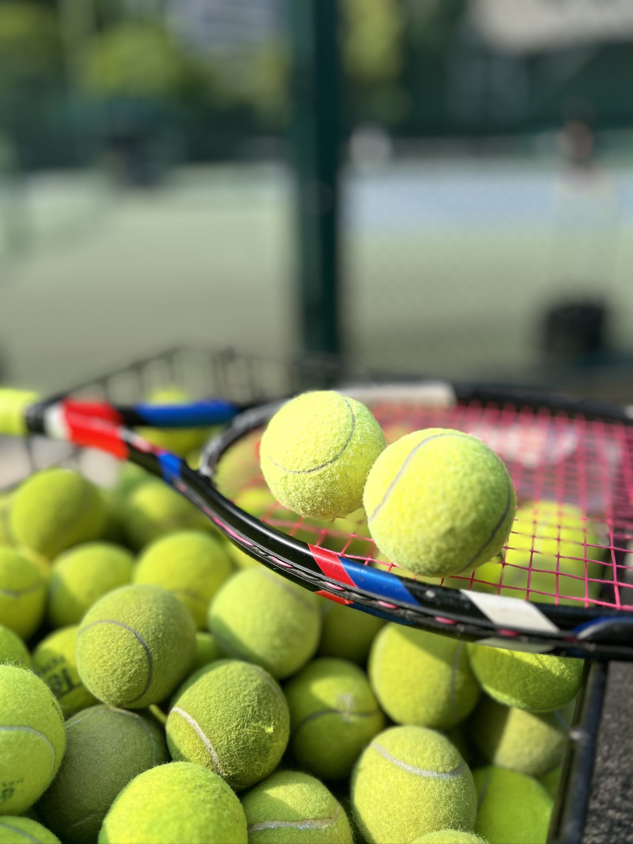 为致命短板 为致命短板