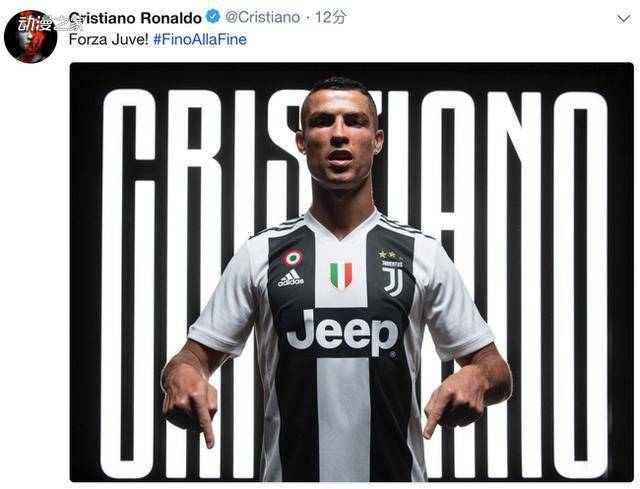 从期待到震 从期待到震